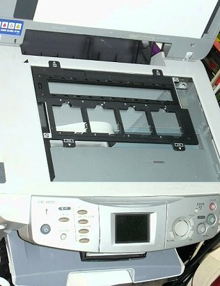 �����͒x���c�B�ł��A�F�͔������I