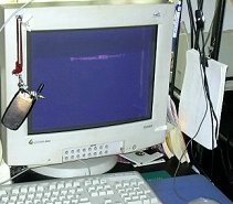 �ꉞ�A��͐@�����肵����