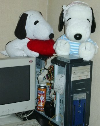 �X�k�����A�o��