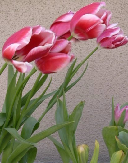 �����A��ςł���