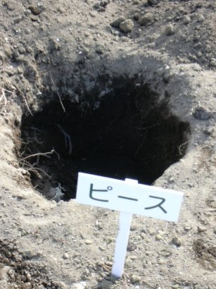 ���a���̂����܂�