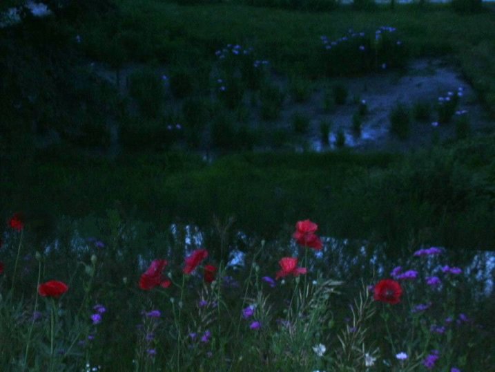 ����-�n�����낤�Ƃ���-�ӂ邦��A�F